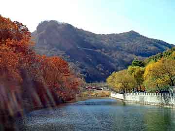 新澳天天彩免费资料大全查询，井冈山索道